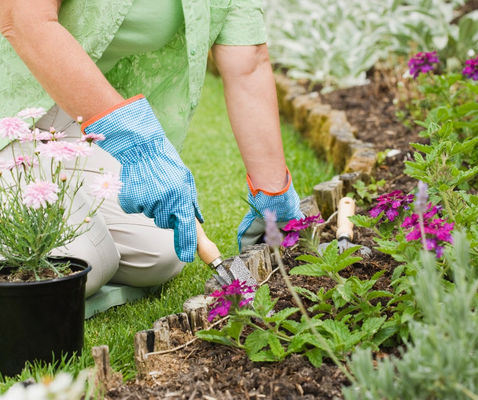 Lo que hace la jardinería por tu salud